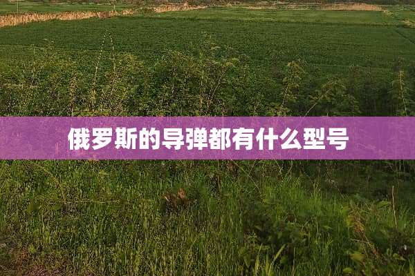 俄罗斯的**都有什么型号