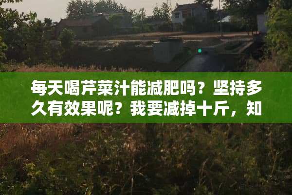 每天喝芹菜汁能减肥吗？坚持多久有效果呢？我要减掉十斤，知道的回答下，谢谢