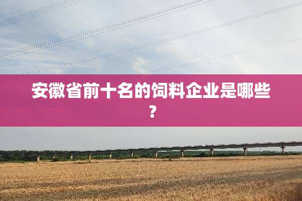 安徽省前十名的饲料企业是哪些？