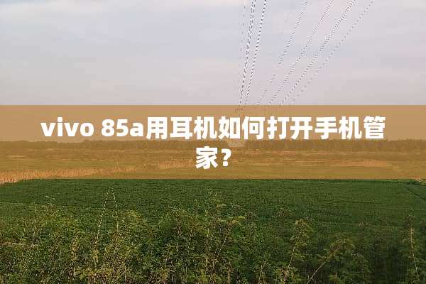 vivo 85a用耳机如何打开手机管家？