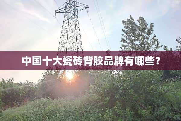 中国十大瓷砖背胶品牌有哪些？