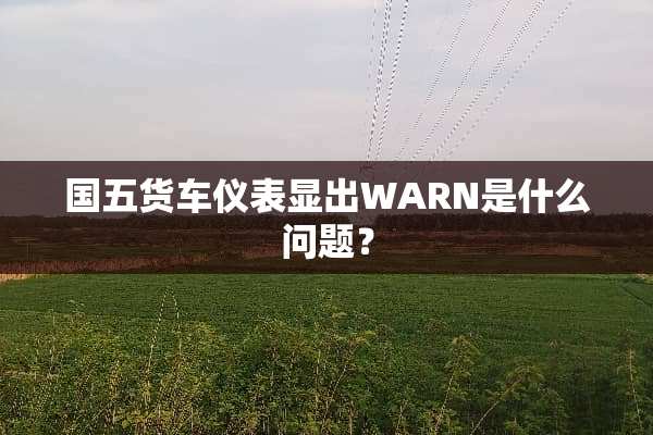 国五货车仪表显出WARN是什么问题？