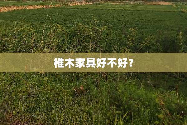 椎木家具好不好？