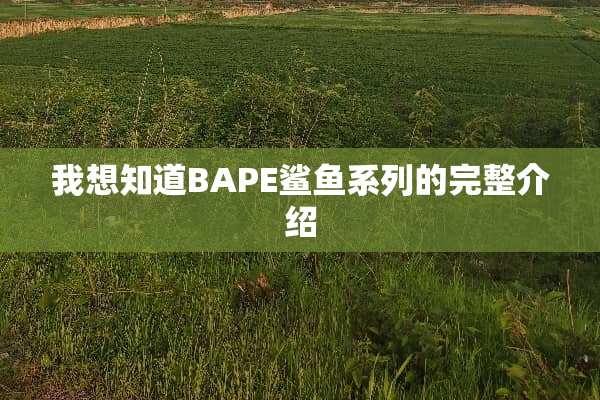 我想知道BAPE鲨鱼系列的完整介绍