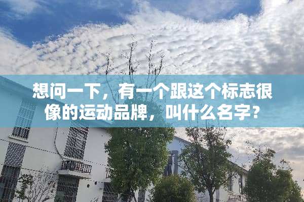 想问一下，有一个跟这个标志很像的运动品牌，叫什么名字？