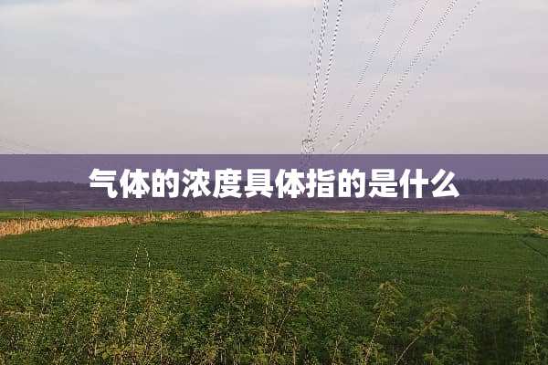气体的浓度具体指的是什么