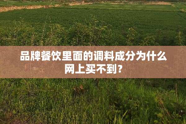品牌餐饮里面的调料成分为什么网上买不到？