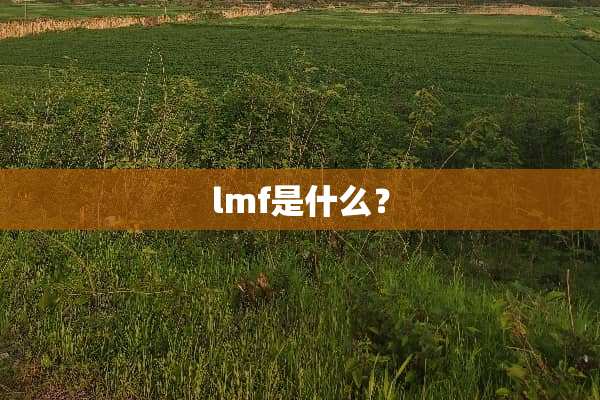 lmf是什么？
