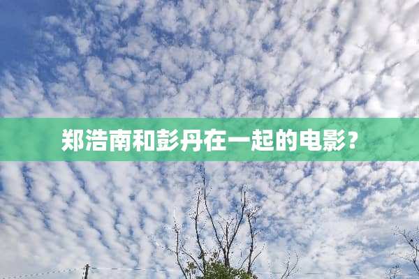 郑浩南和彭丹在一起的电影？