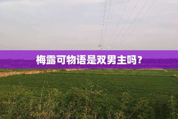 梅露可物语是双男主吗？