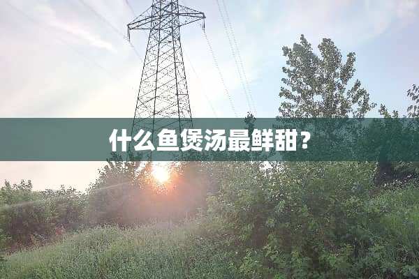 什么鱼煲汤最鲜甜？