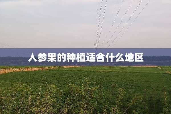 人参果的种植适合什么地区