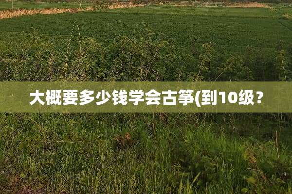 大概要多少钱学会古筝(到10级？