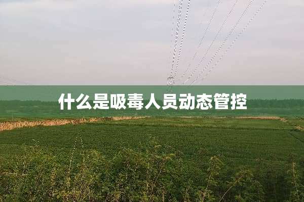 什么是吸毒人员动态管控