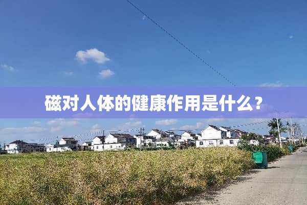 磁对人体的健康作用是什么？