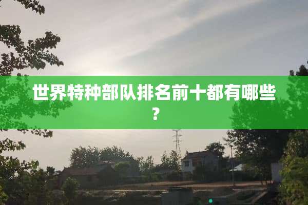 世界特种**排名前十都有哪些？