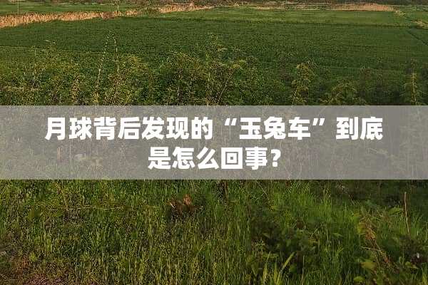 月球背后发现的“玉兔车”到底是怎么回事？