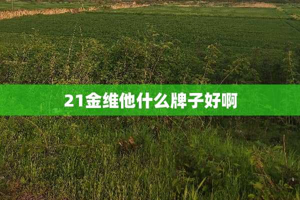 21金维他什么牌子好啊