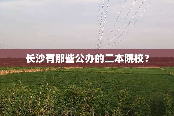 长沙有那些公办的二本院校？