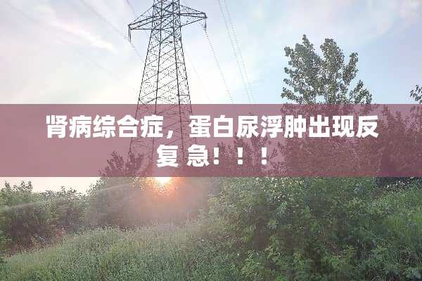 肾病综合症，蛋白尿浮肿出现反复 急！！！