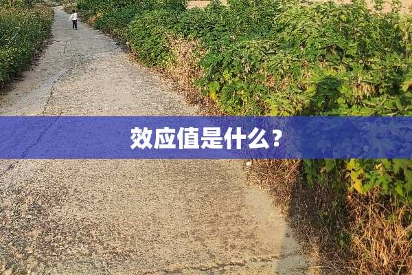效应值是什么？