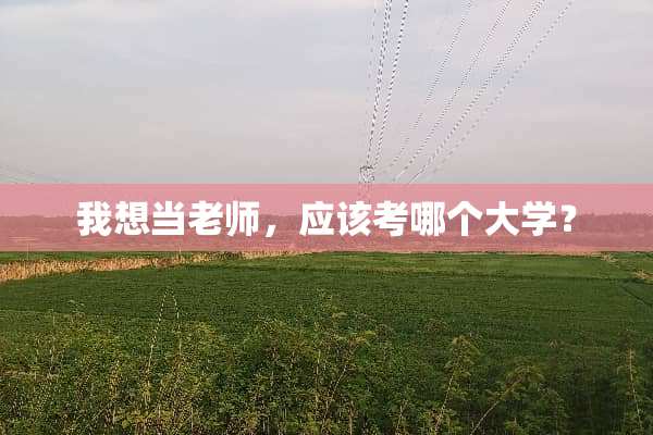我想当老师，应该考哪个大学？
