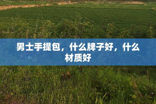 男士手提包，什么牌子好，什么材质好