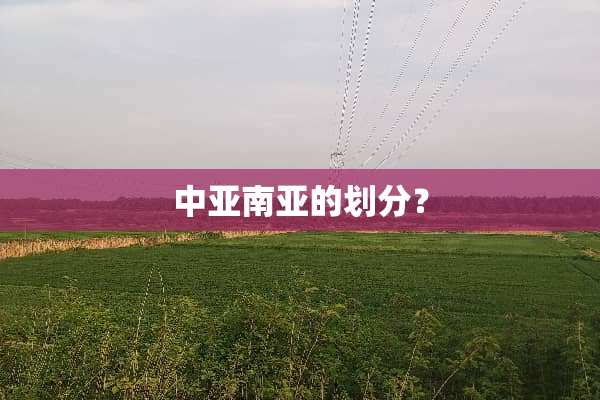 中亚南亚的划分？