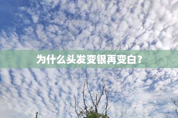 为什么头发变银再变白？