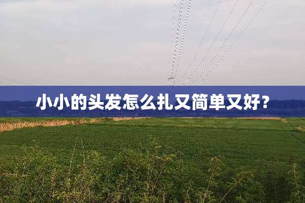 小小的头发怎么扎又简单又好？