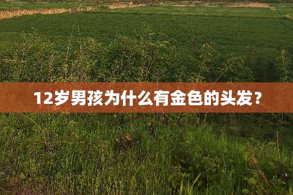 12岁男孩为什么有金色的头发？