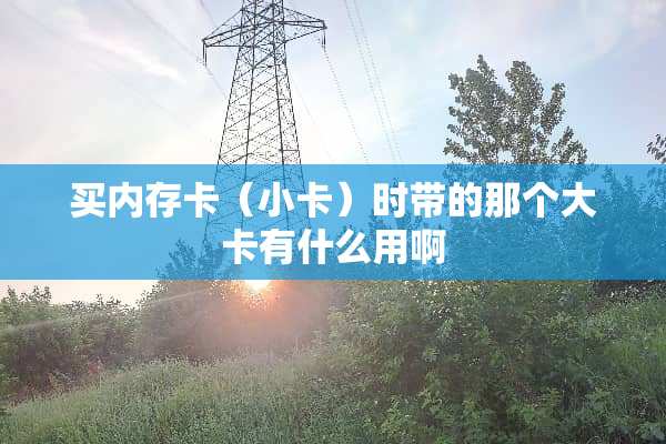 买内存卡（小卡）时带的那个大卡有什么用啊