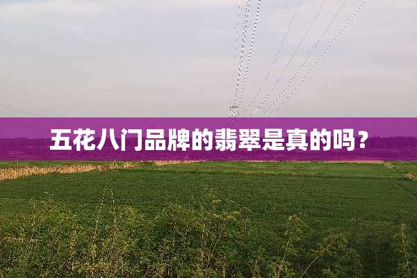 五花八门品牌的翡翠是真的吗？