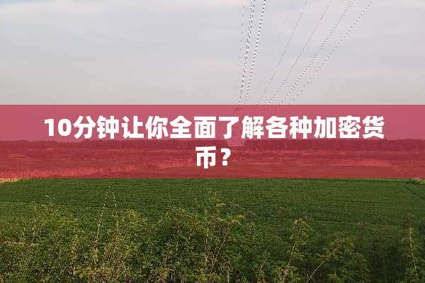 10分钟让你全面了解各种加密货币？
