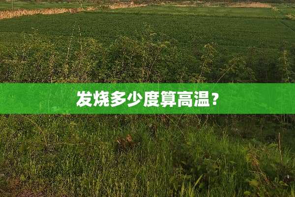 发烧多少度算高温？
