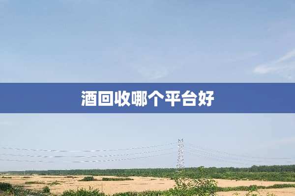 酒回收哪个平台好