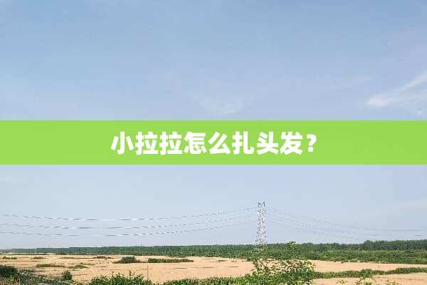小拉拉怎么扎头发？