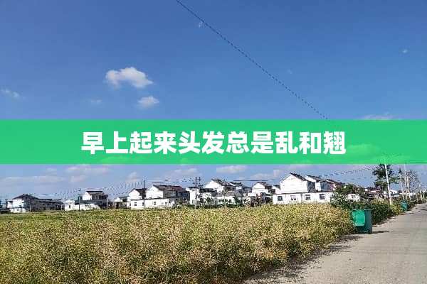 早上起来头发总是乱和翘