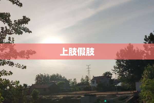 上肢假肢