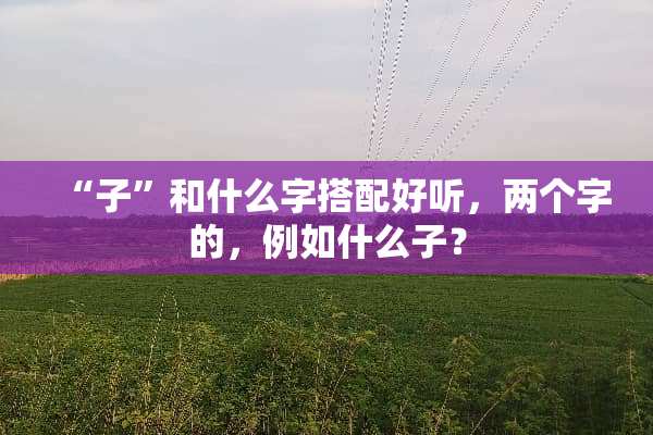 “子”和什么字搭配好听，两个字的，例如什么子？
