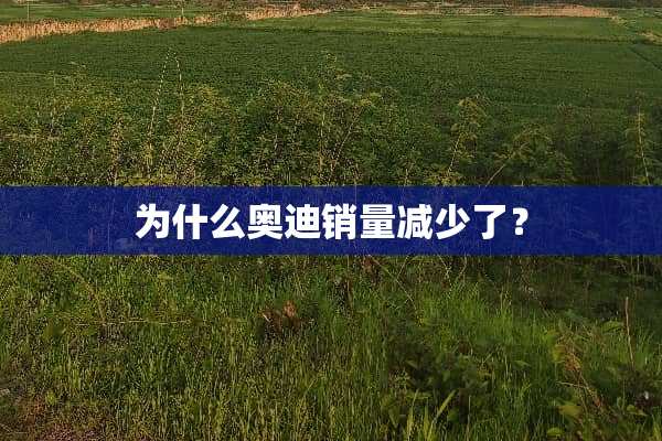 为什么奥迪销量减少了？