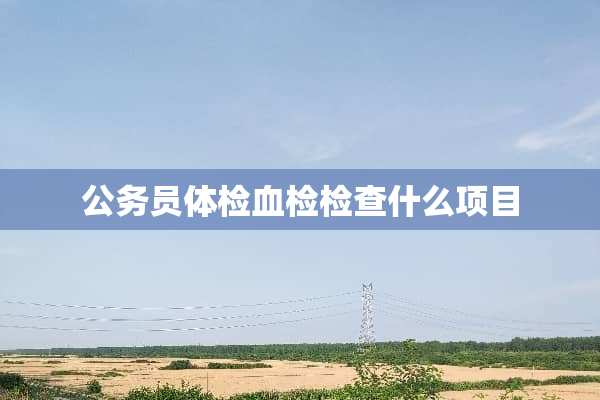 公务员体检血检检查什么项目