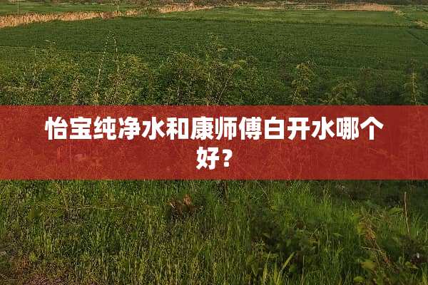 怡宝纯净水和康师傅白开水哪个好？