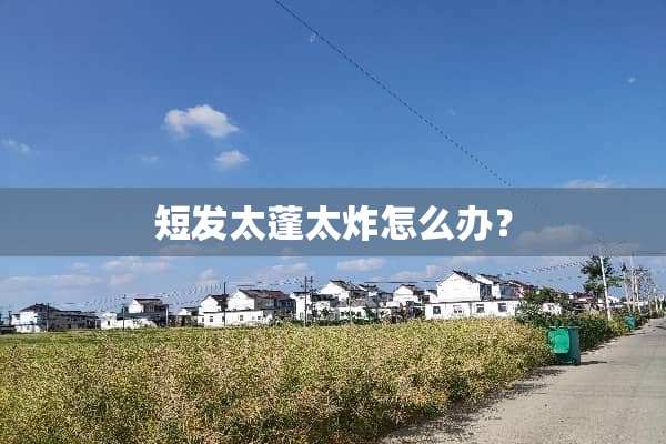 短发太蓬太炸怎么办？