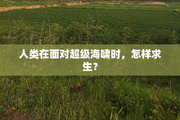 人类在面对超级海啸时，怎样求生？