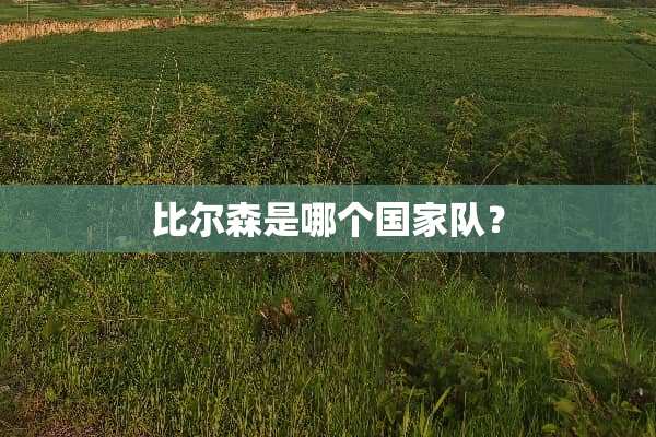 比尔森是哪个国家队？