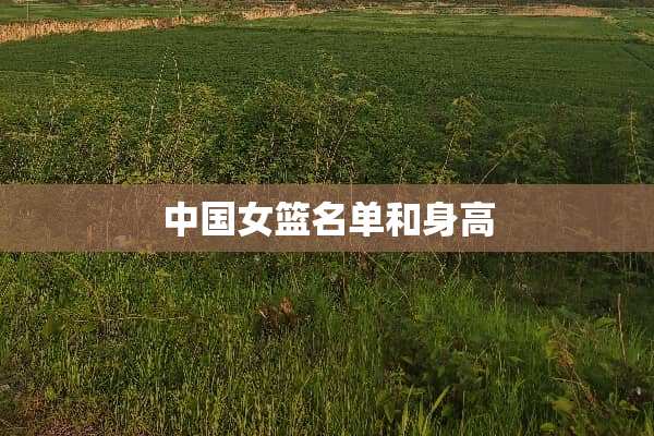 中国女篮名单和身高