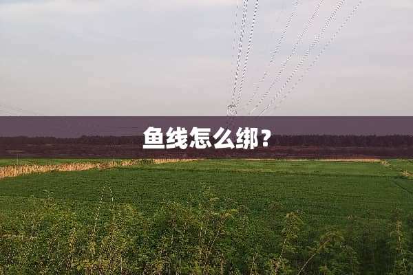 鱼线怎么绑？