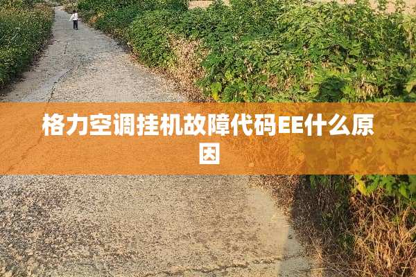 格力空调挂机故障代码EE什么原因