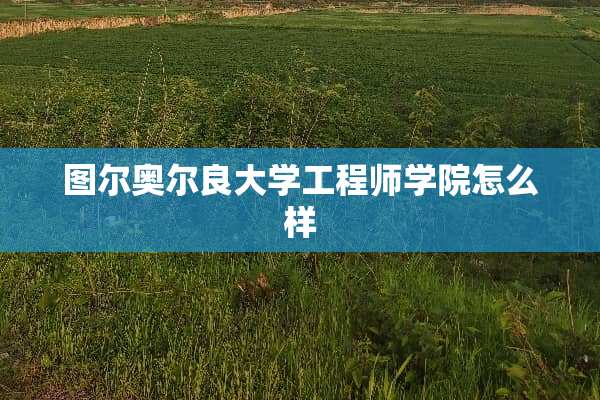 图尔奥尔良大学工程师学院怎么样